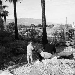 07-jbud20150603_001zww