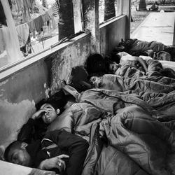 08-jbud20150604_004zww_0