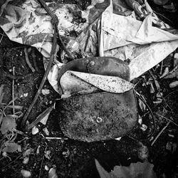 jbud20160726_austria_001_lr_1