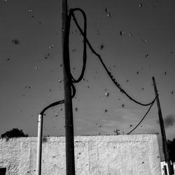 jbud20190404_almeria_002bnw_lr_1